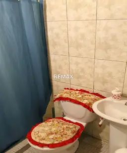 Vista 6
