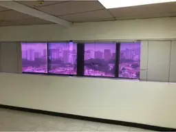 View 3