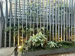 Vista 46