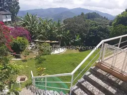 Vista 37