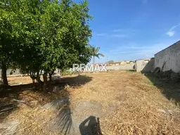 Vista 9