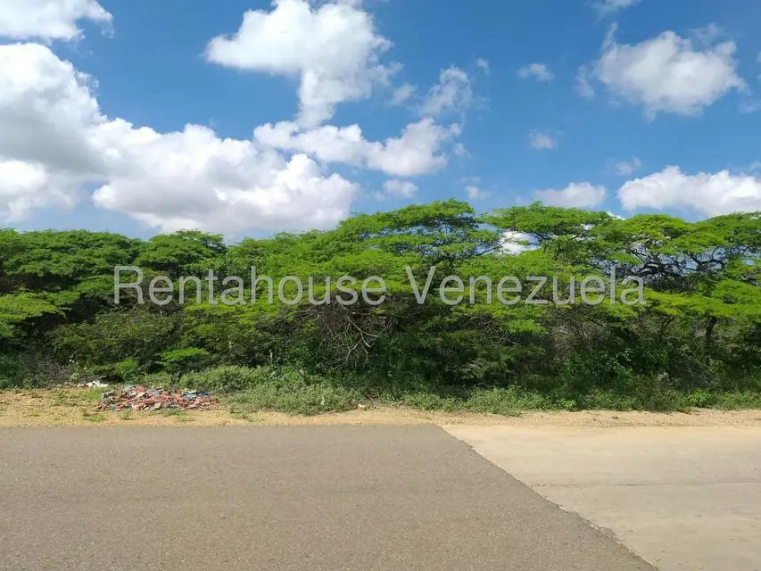Terreno (Comercial) en Venta en Los Taques, Falcon - 13