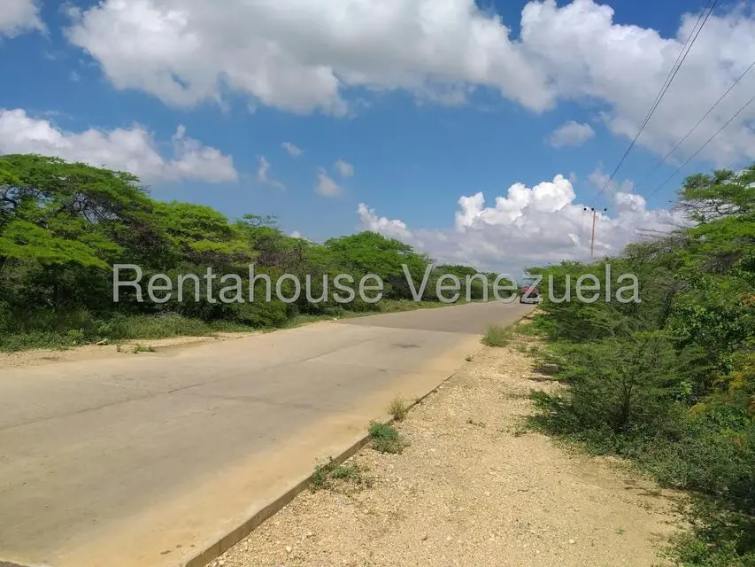 Terreno (Comercial) en Venta en Los Taques, Falcon - 15
