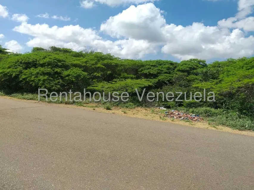 Terreno (Comercial) en Venta en Los Taques, Falcon - 16