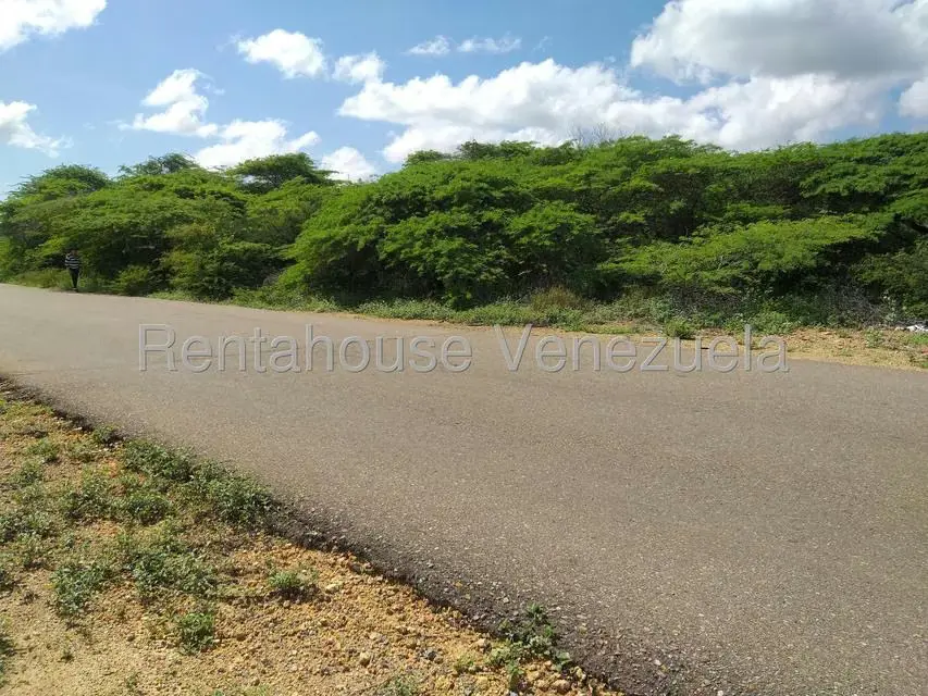 Terreno (Comercial) en Venta en Los Taques, Falcon - 17
