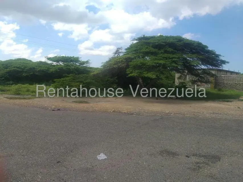 Terreno (Comercial) en Venta en Los Taques, Falcon - 19