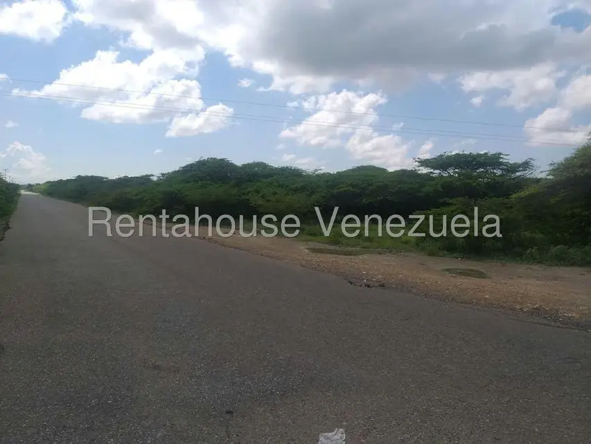 Terreno (Comercial) en Venta en Los Taques, Falcon - 20