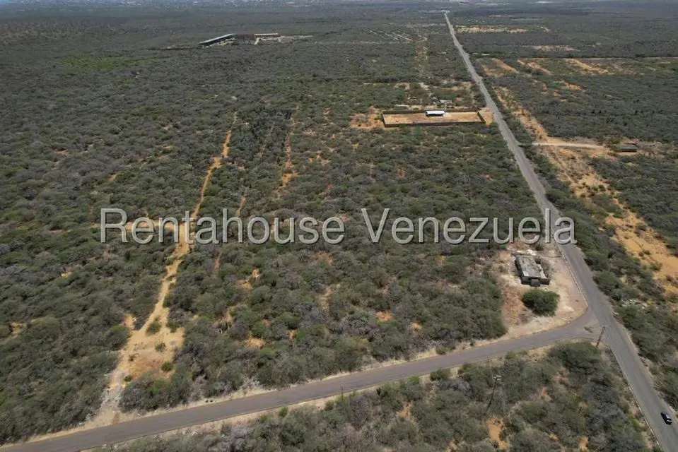 Terreno (Comercial) en Venta en Los Taques, Falcon - 3