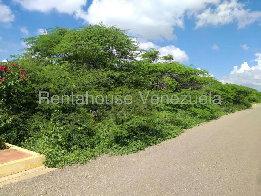 Terreno (Comercial) en Venta en Los Taques, Falcon - 4