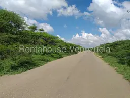 View 6