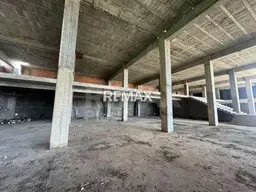 Vista 5