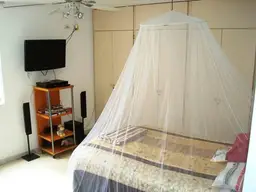 Vista 24