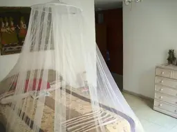Vista 25