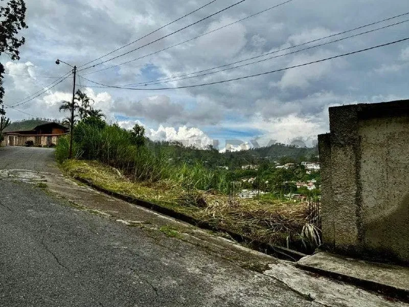 Terreno en venta 1200m2 todos los servicios Urb Pan de azúcar Carrizal