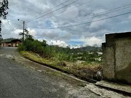 View 1