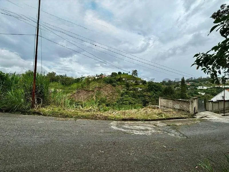 Terreno en venta 1200m2 todos los servicios Urb Pan de azúcar Carrizal - 3