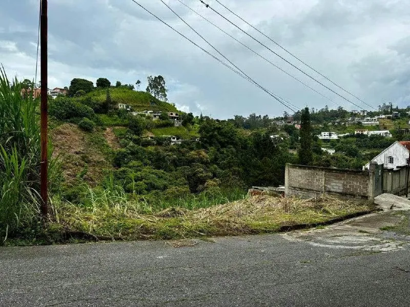 Terreno en venta 1200m2 todos los servicios Urb Pan de azúcar Carrizal - 4