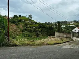 View 4