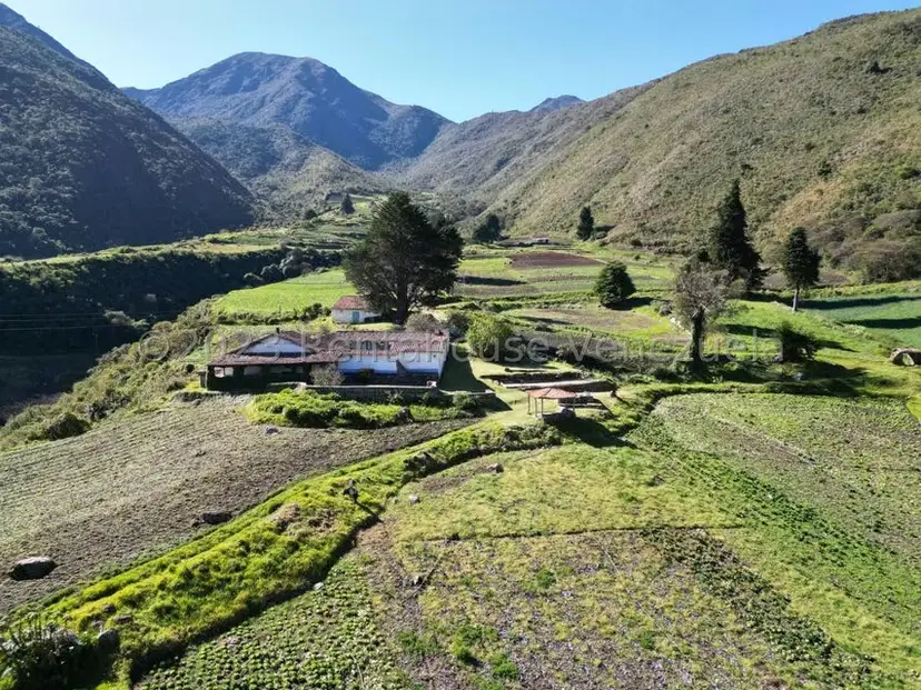 Terreno (Finca) en Venta en Las Porqueras, Merida