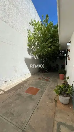Vista 5