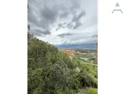 View 4