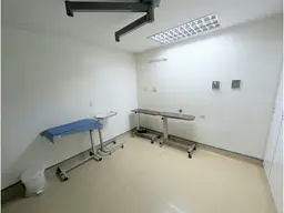 Vista 4