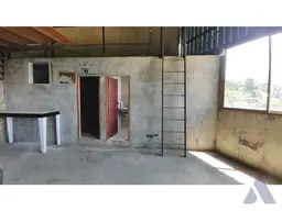 Vista 12