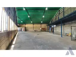 Vista 19