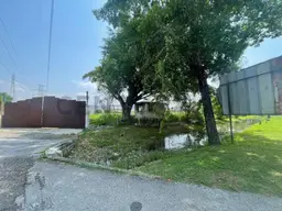 Vista 1