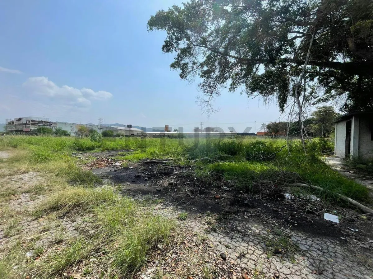 venta de terreno y estructura de galpon - 3