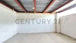 Vista 5
