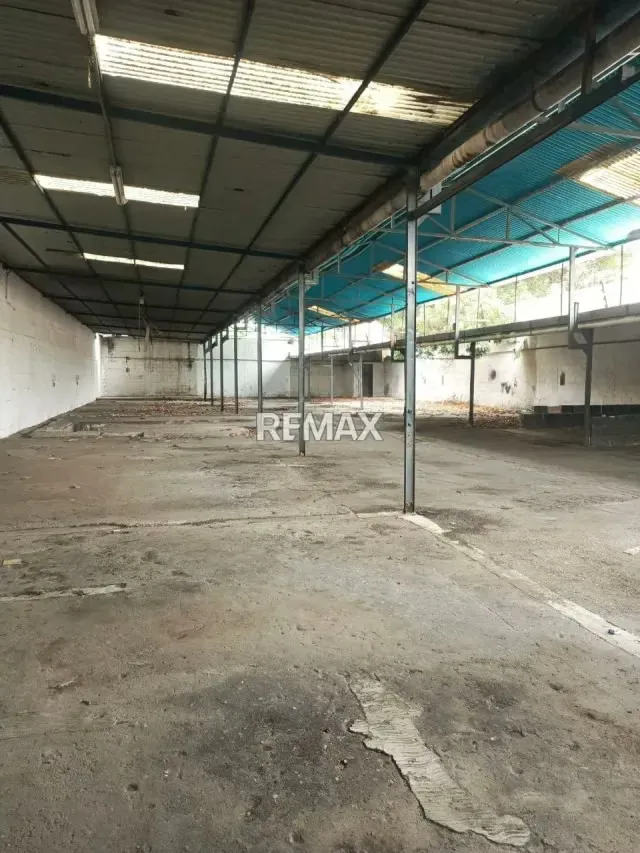 GALPON EN VENTA CALLE PAEZ SECTOR CENTRO - 2