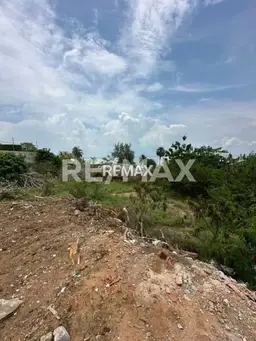 Vista 4
