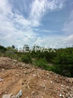 Vista 5
