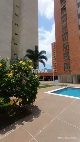 Vista 1