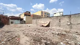 Vista 14