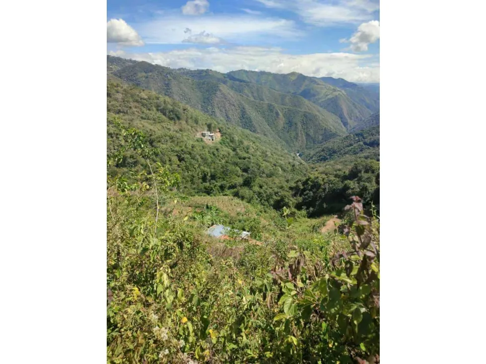 Vendo terreno 5236m2 Caicaguana 4191