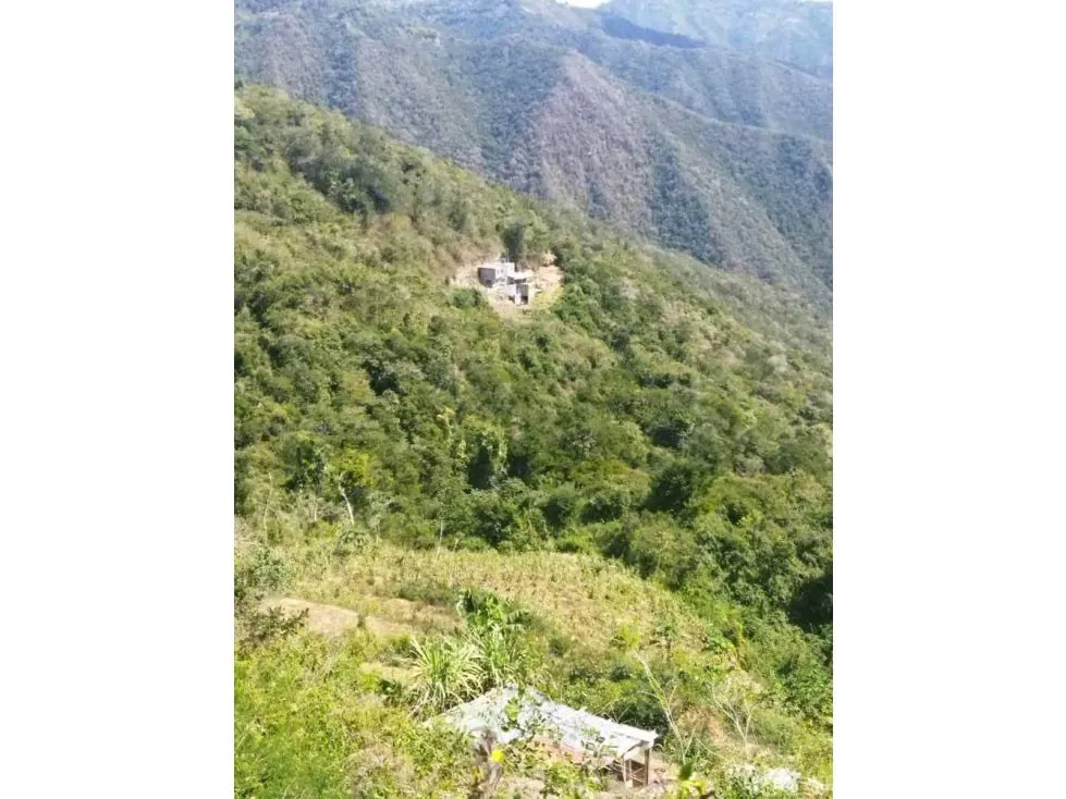 Vendo terreno 5236m2 Caicaguana 4191 - 3