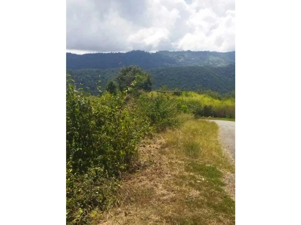 Vendo terreno 5236m2 Caicaguana 4191 - 4