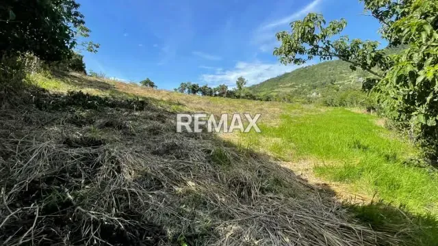 TERRENO EN LA LAJA - 5