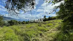 View 6