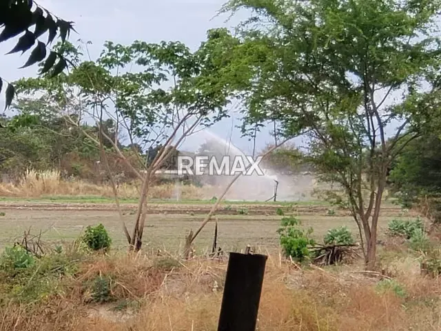 Terreno Residencial-Comercial en venta Guacara. Av. Agustin Codazi - 2