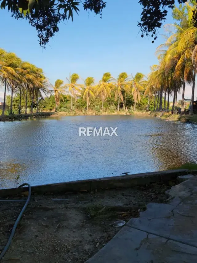 Terreno Residencial-Comercial en venta Guacara. Av. Agustin Codazi - 3