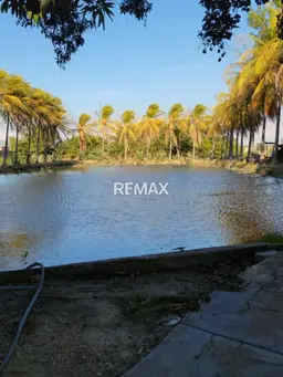 Vista 3