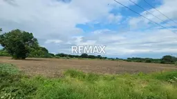 Vista 4