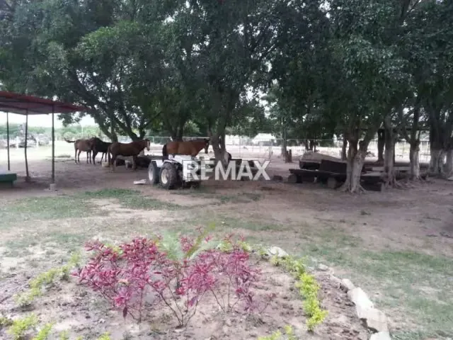Terreno Residencial-Comercial en venta Guacara. Av. Agustin Codazi - 6