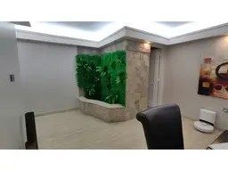 Vista 4