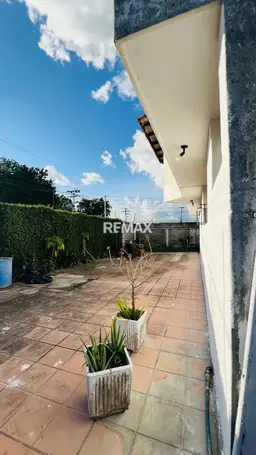 Vista 3