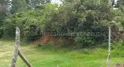 Vista 1