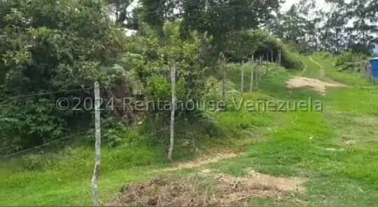 Terreno (Residencial) en Venta en Pie del Tiro, Merida - 4